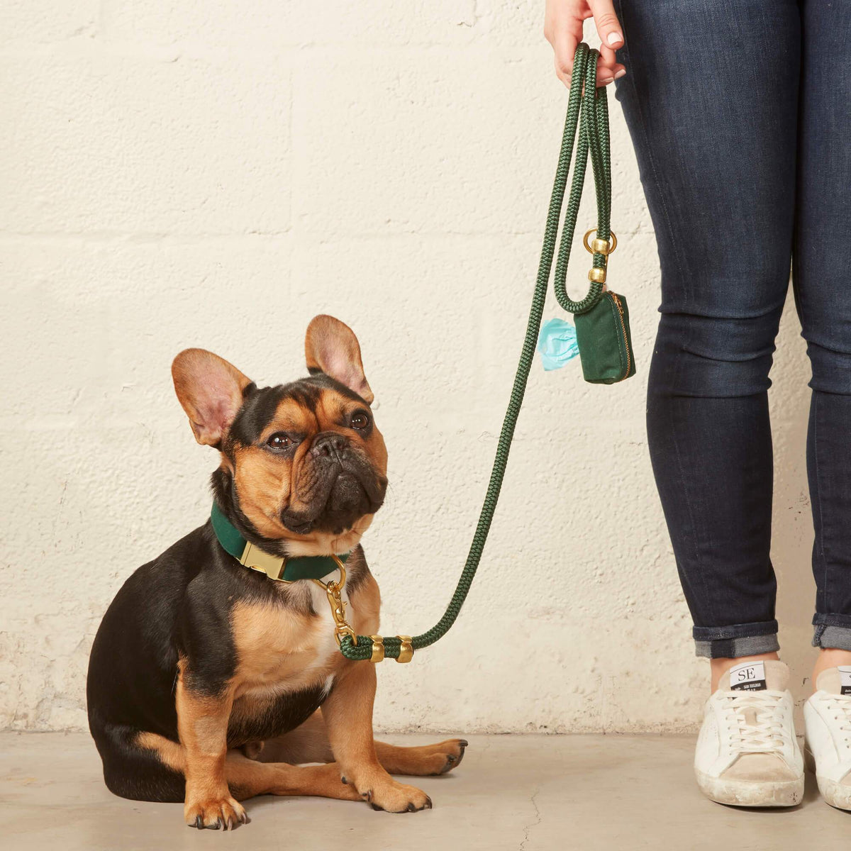 Forest Green Dog Collar, Rope Leash & Waste Bag Holder Set