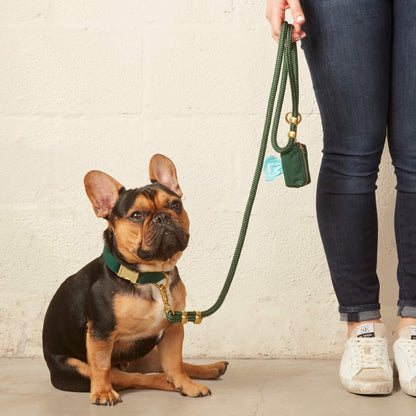Forest Green Dog Collar, Rope Leash & Waste Bag Holder Set