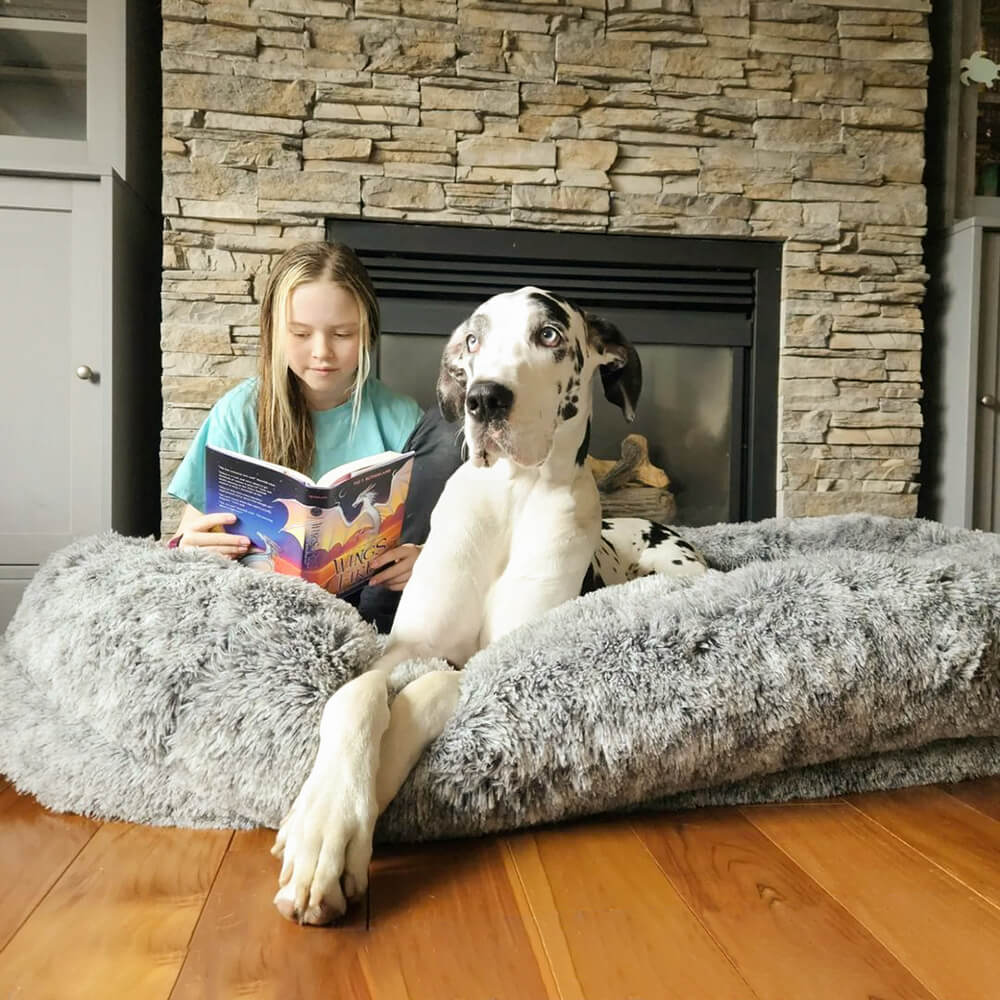 Extra-Large Oval Faux Fur Dog Bed with Throw Blanket, Grey or Brown