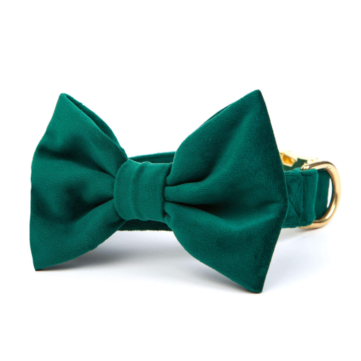 Forest Green Velvet Dog Collar with Removable Bow Tie