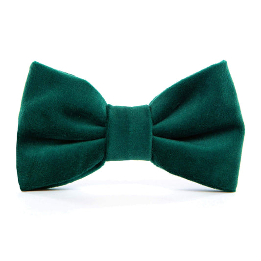 Forest Green Velvet Dog Bow Tie, Collar Attachment