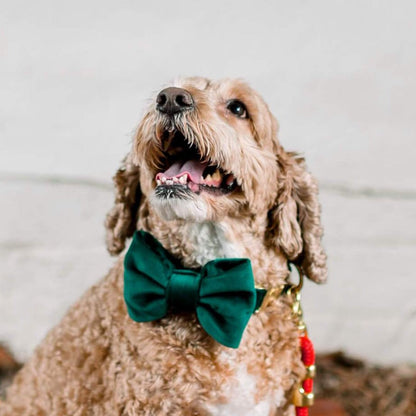 Forest Green Velvet Dog Bow Tie, Collar Attachment