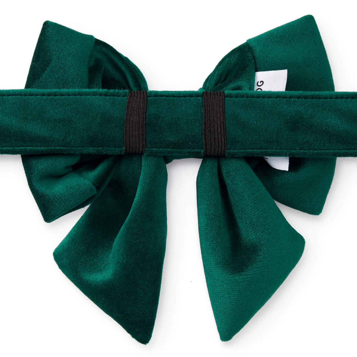 Forest Green Velvet Dog Collar with Removable Lady Bow