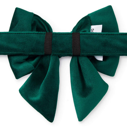 Forest Green Velvet Dog Collar with Removable Lady Bow