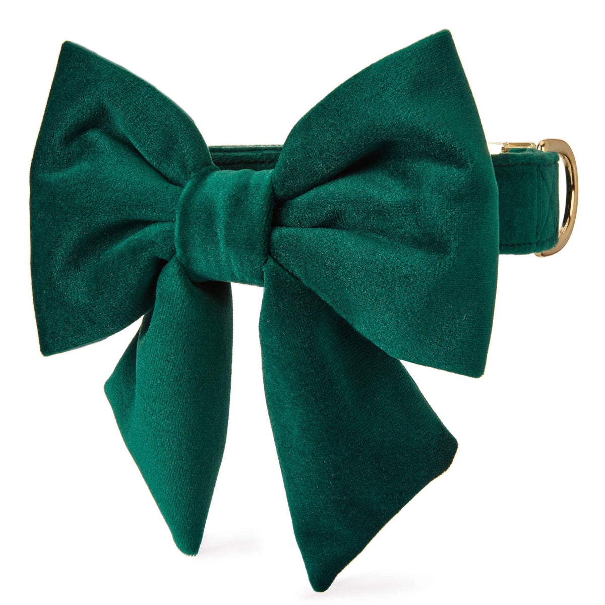 Forest Green Velvet Dog Collar with Removable Lady Bow