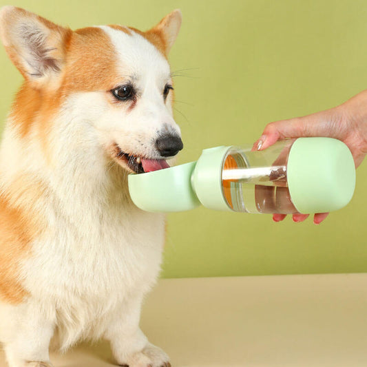 2-in-1 Portable Dog Water Bottle with Built-In Bowl