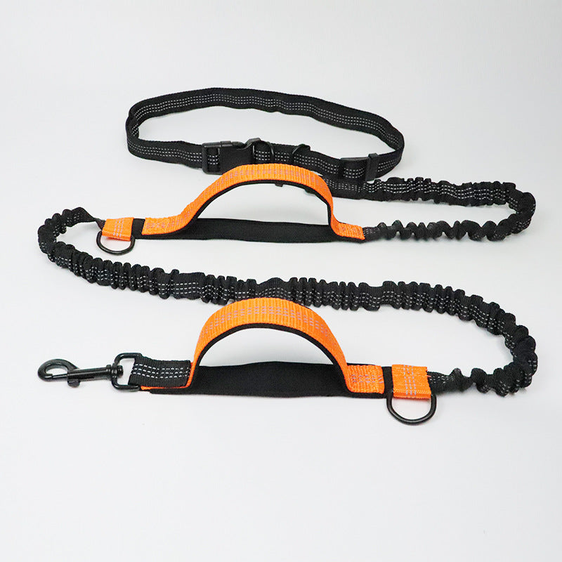 Hands-Free Dog Leash with Bungee and Car Seat Belt, 6-in-1