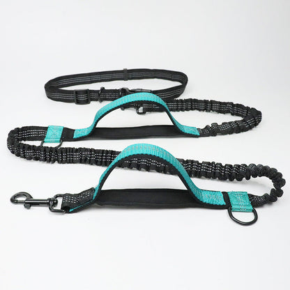 Hands-Free Dog Leash with Bungee and Car Seat Belt, 6-in-1