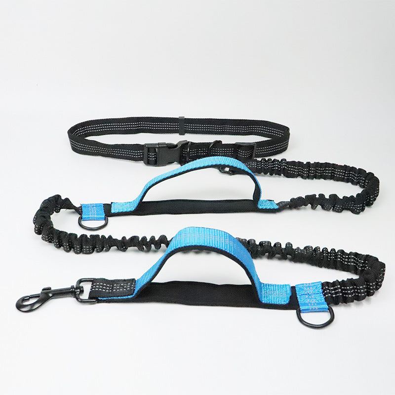 Hands-Free Dog Leash with Bungee and Car Seat Belt, 6-in-1