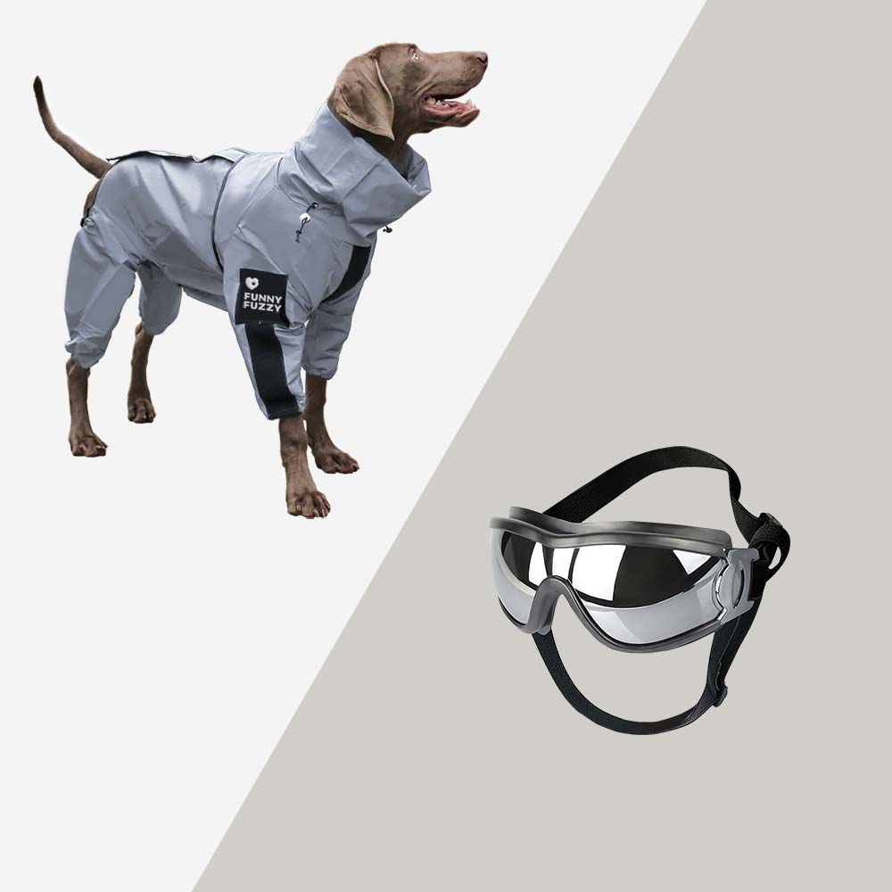 Reflective Waterproof Dog Raincoat with Harness Opening and Zip
