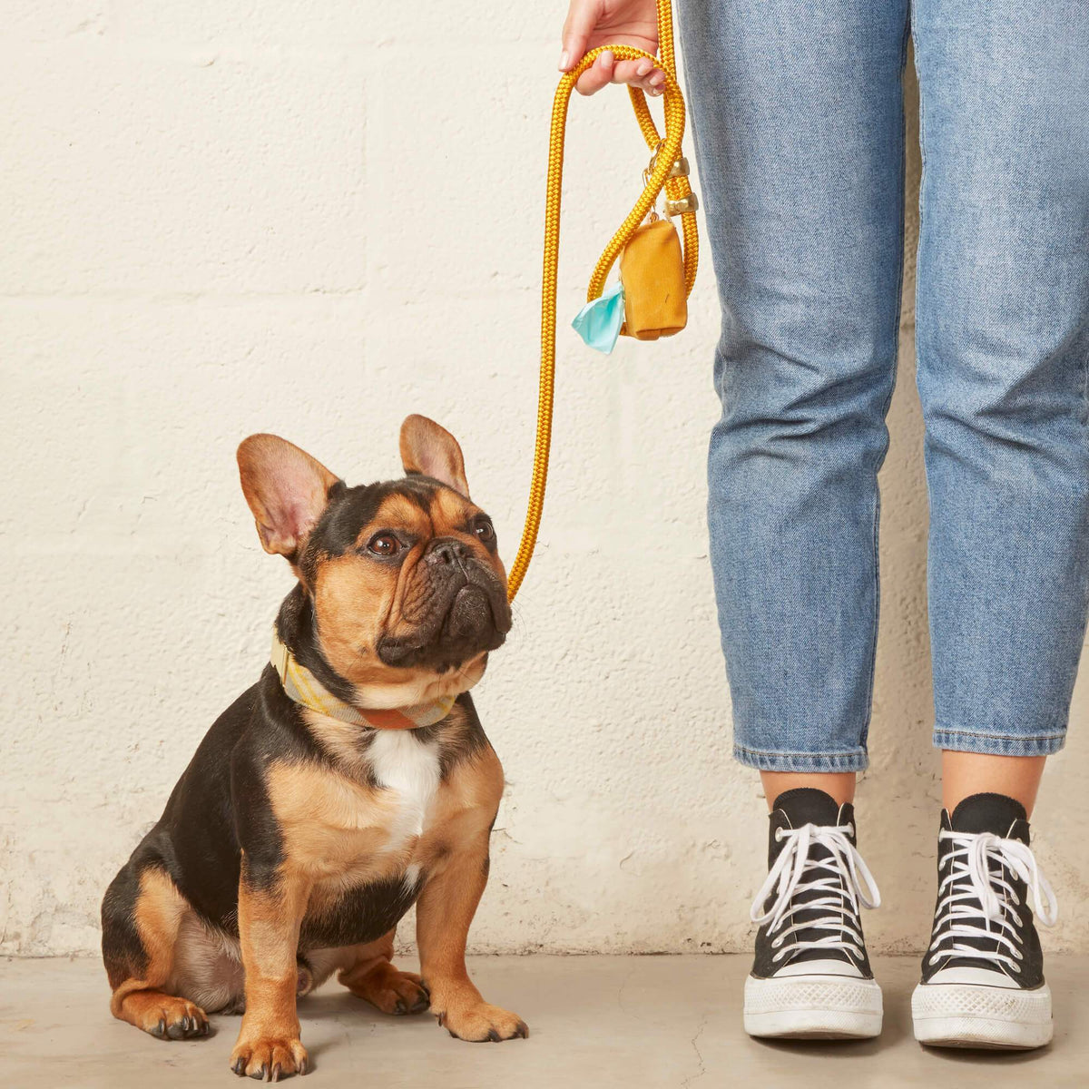 Golden Orange Marine Rope Dog Leash, 5 ft Double-Braided Nylon