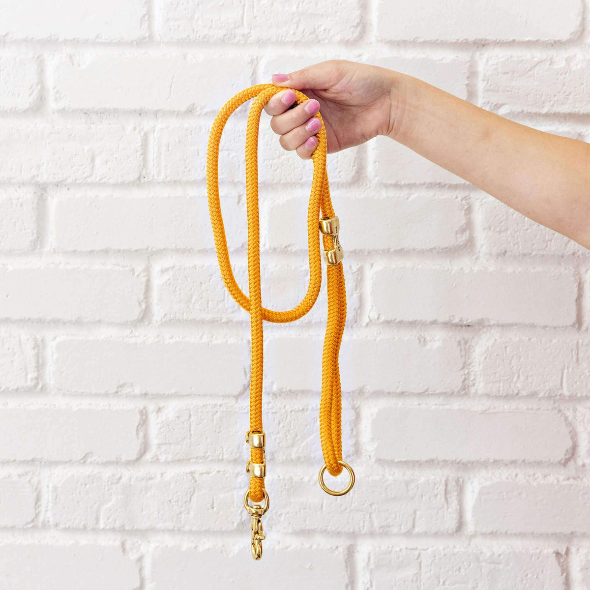 Golden Orange Marine Rope Dog Leash, 5 ft Double-Braided Nylon