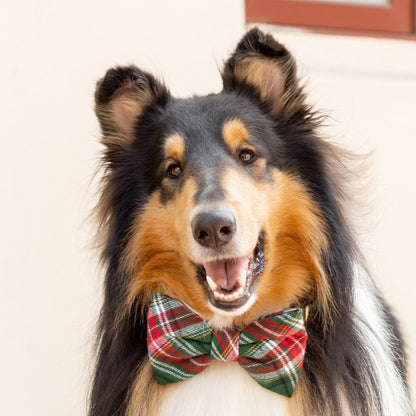 Red & Green Plaid Flannel Dog Collar with Removable Bow Tie