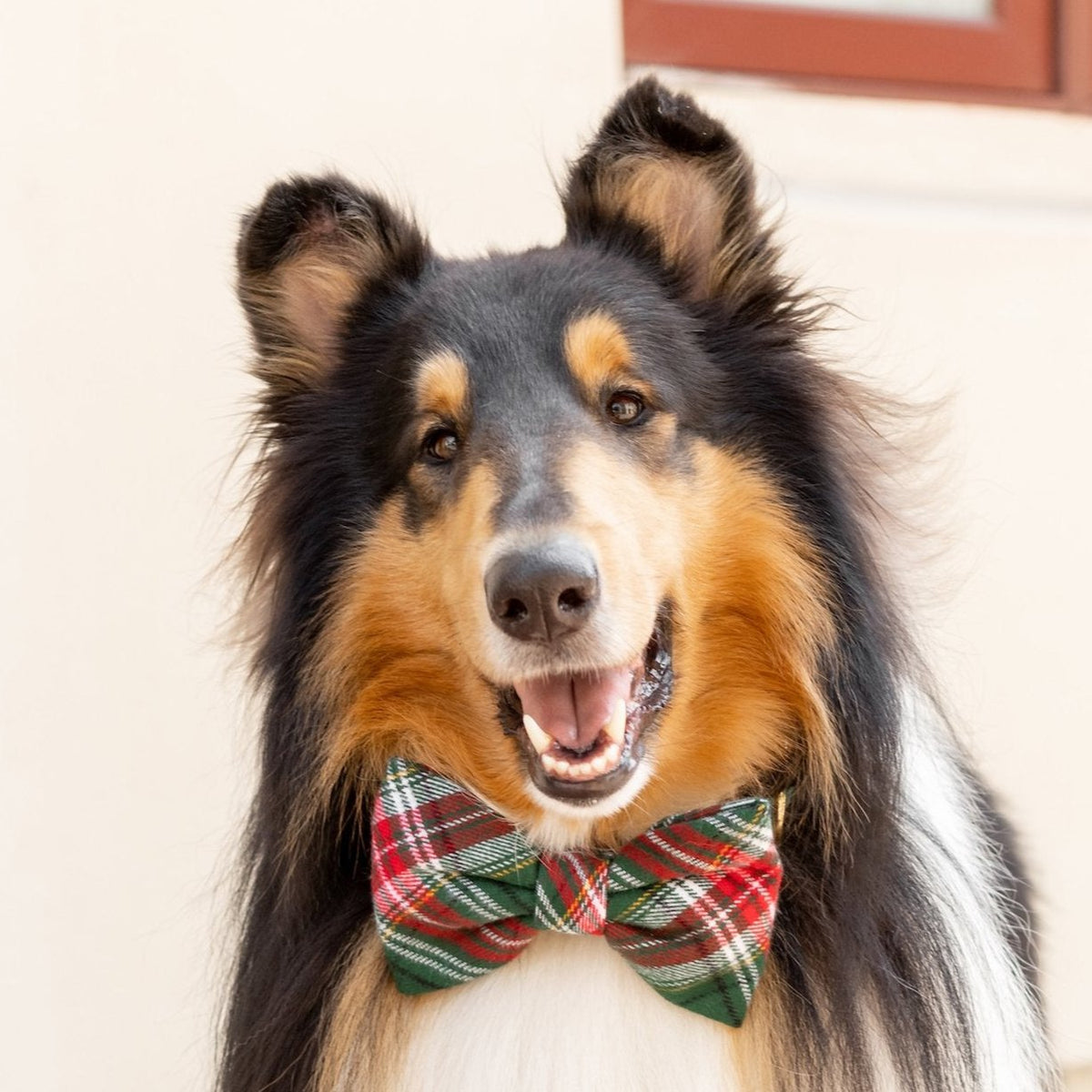 Red & Green Plaid Flannel Dog Bow Tie, Collar Attachment