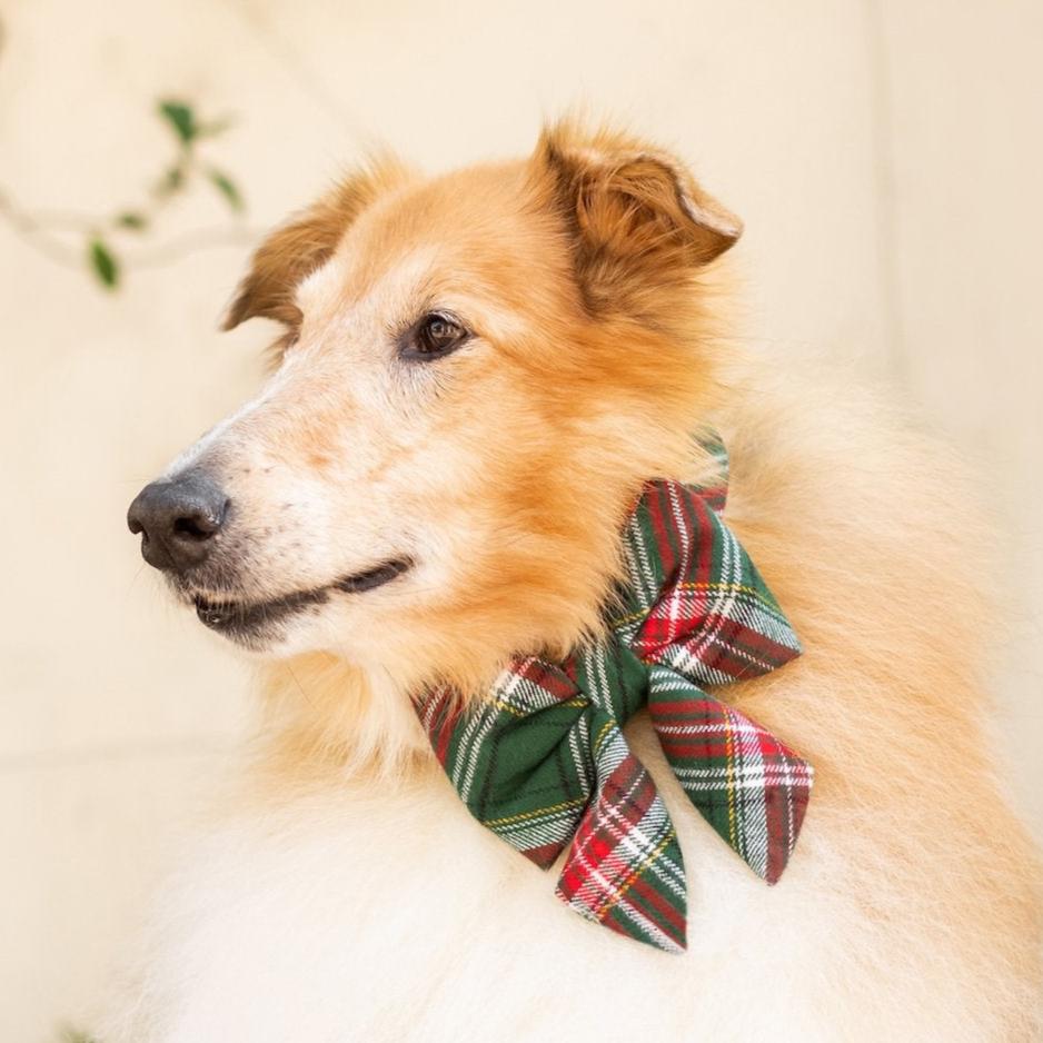 Red & Green Plaid Flannel Dog Collar with Lady Bow