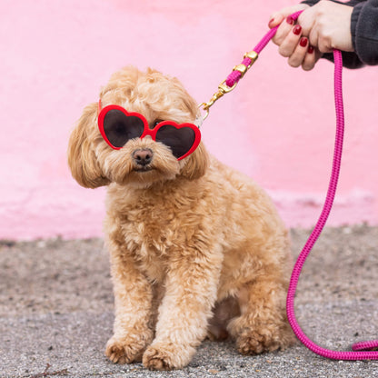 Hot Pink Marine Rope Dog Leash with O-Ring, 5 ft