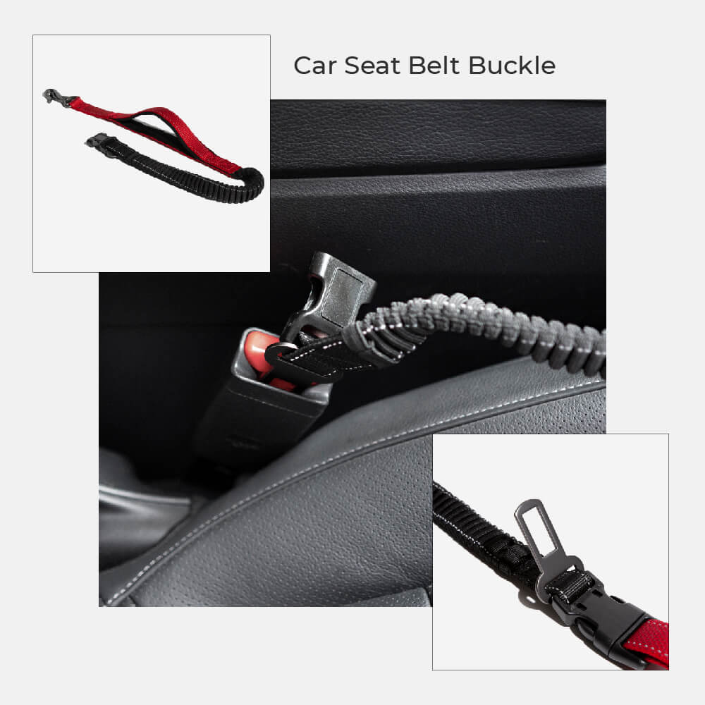 Hands-Free Dog Leash with Bungee and Car Seat Belt, 6-in-1