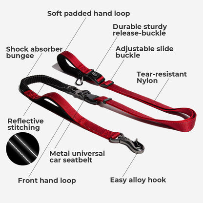 Hands-Free Dog Leash with Bungee and Car Seat Belt, 6-in-1