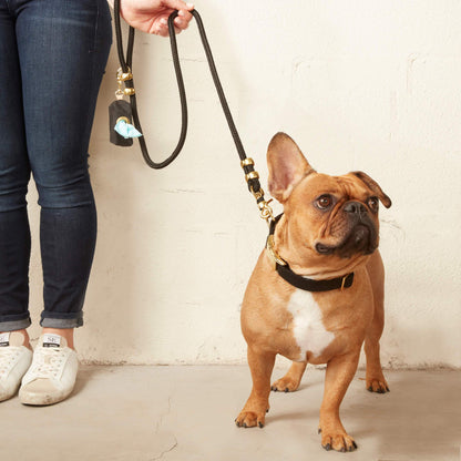 Black Waxed Canvas Dog Waste Bag Holder with Leash Clip