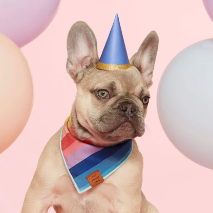 Rainbow Cotton Dog Bandana with Vegan Leather Tag