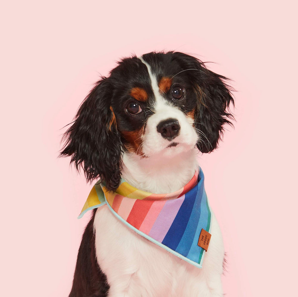 Rainbow Cotton Dog Bandana with Vegan Leather Tag