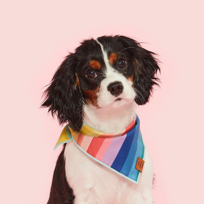 Rainbow Cotton Dog Bandana with Vegan Leather Tag