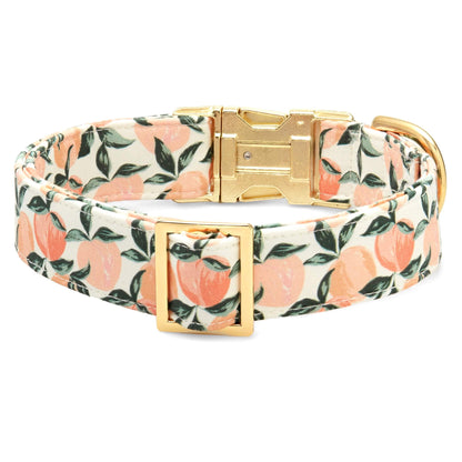 Peach Floral Cotton Dog Collar with Gold Hardware