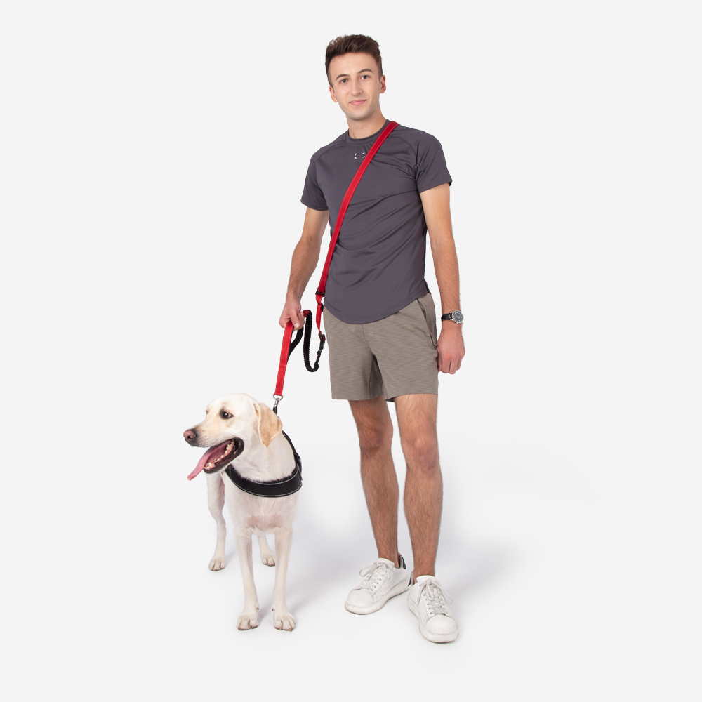 Hands-Free Dog Leash with Bungee and Car Seat Belt, 6-in-1