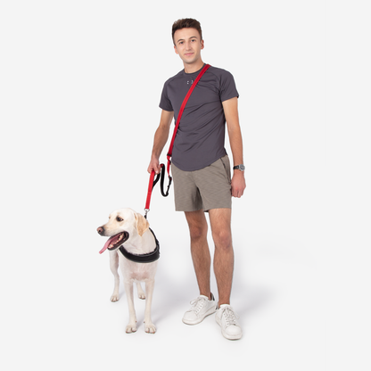 Hands-Free Dog Leash with Bungee and Car Seat Belt, 6-in-1