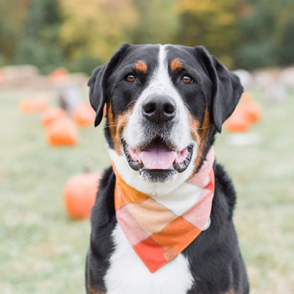 Orange & Cream Plaid Flannel Dog Bandana, Triangle Tie