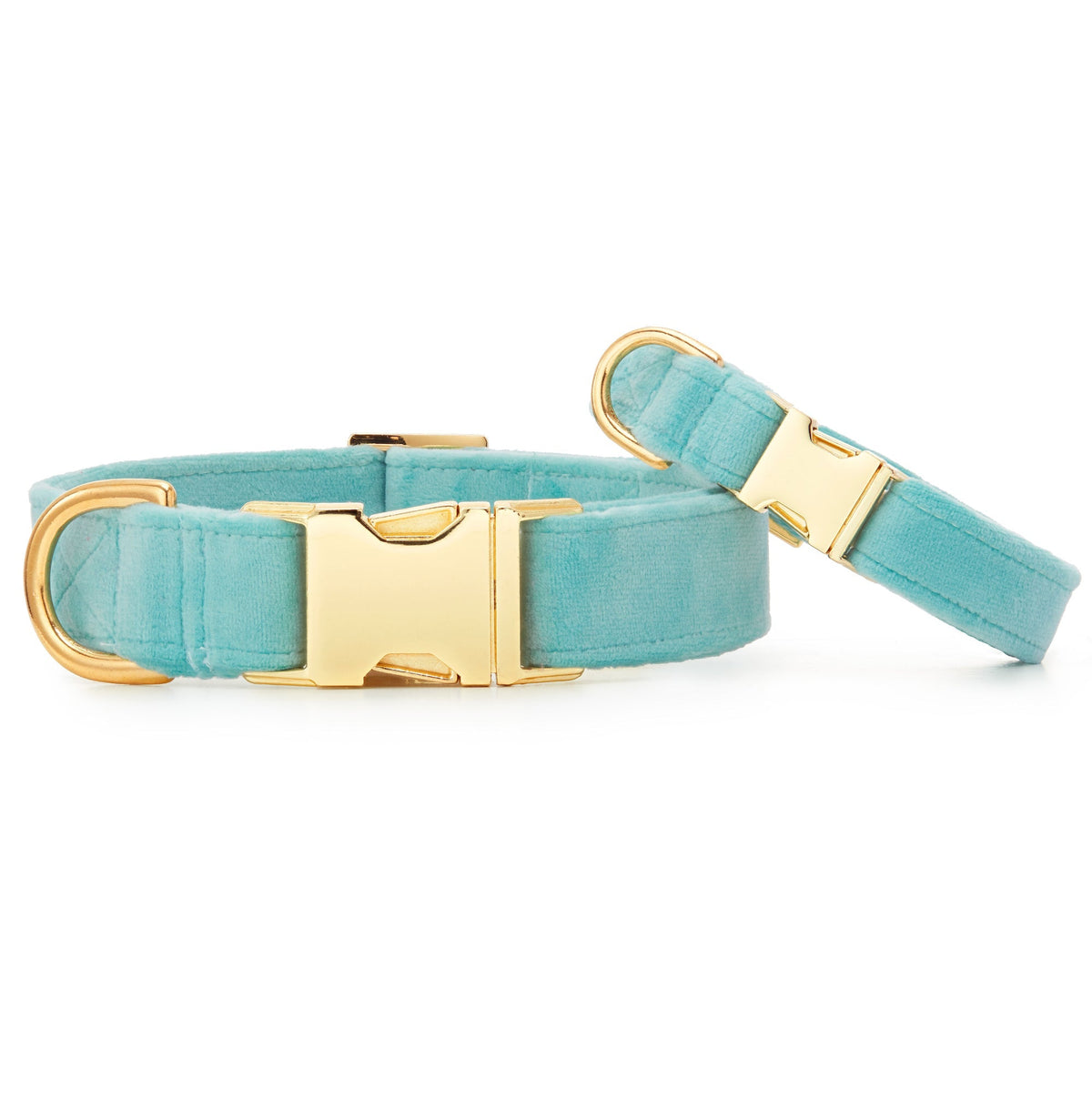 Aqua Blue Velvet Dog Collar, Sizes XS to Large