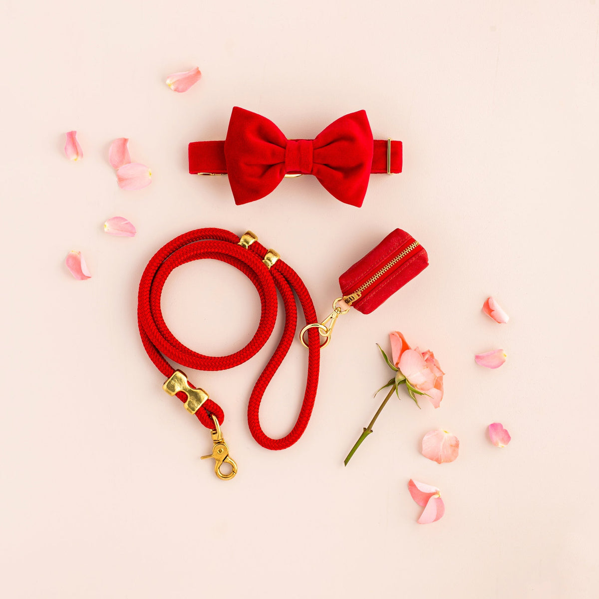 Ruby Red Cotton-Blend Dog Collar and Rope Leash Walk Set