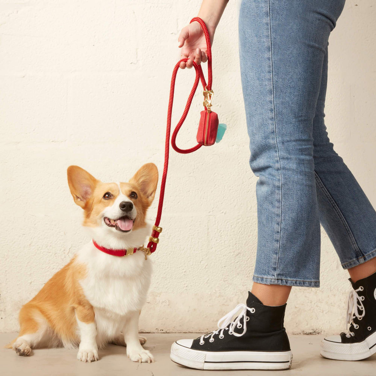 Ruby Red Cotton-Blend Dog Collar and Rope Leash Walk Set