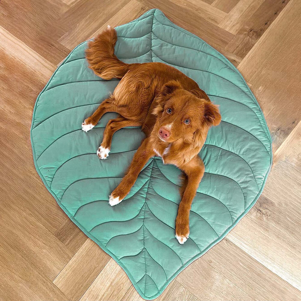 Leaf-Shaped Dog Blanket and Couch Mat, Machine Washable
