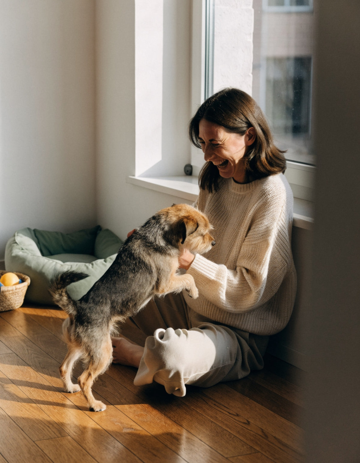 A woman laughing as a small terrier climbs into her lap by a window