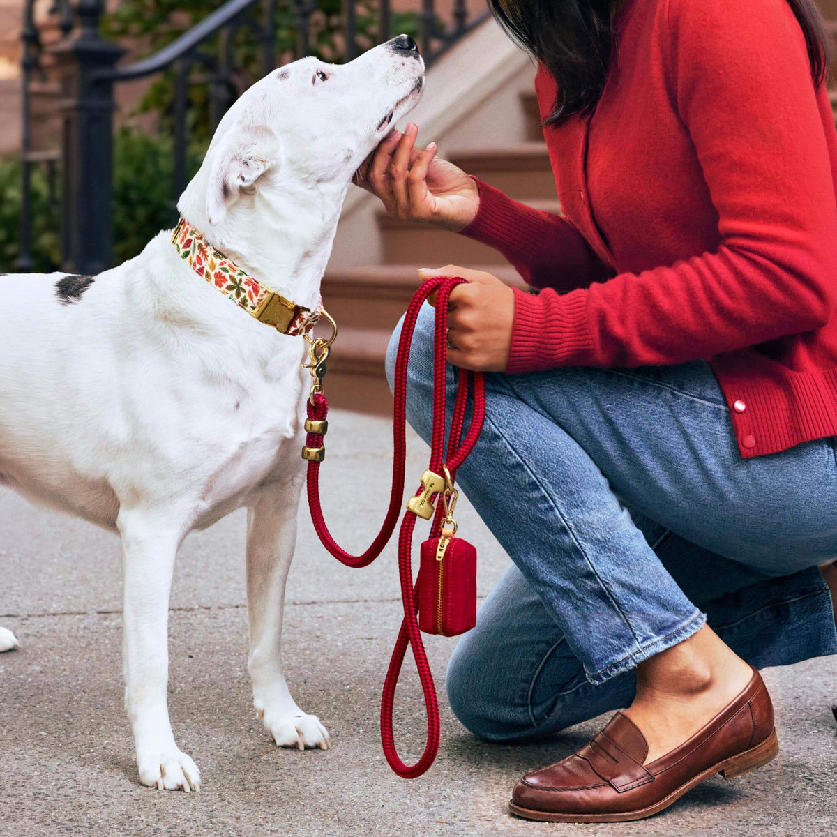 Wine Red Braided Marine Rope Dog Leash, 5 ft