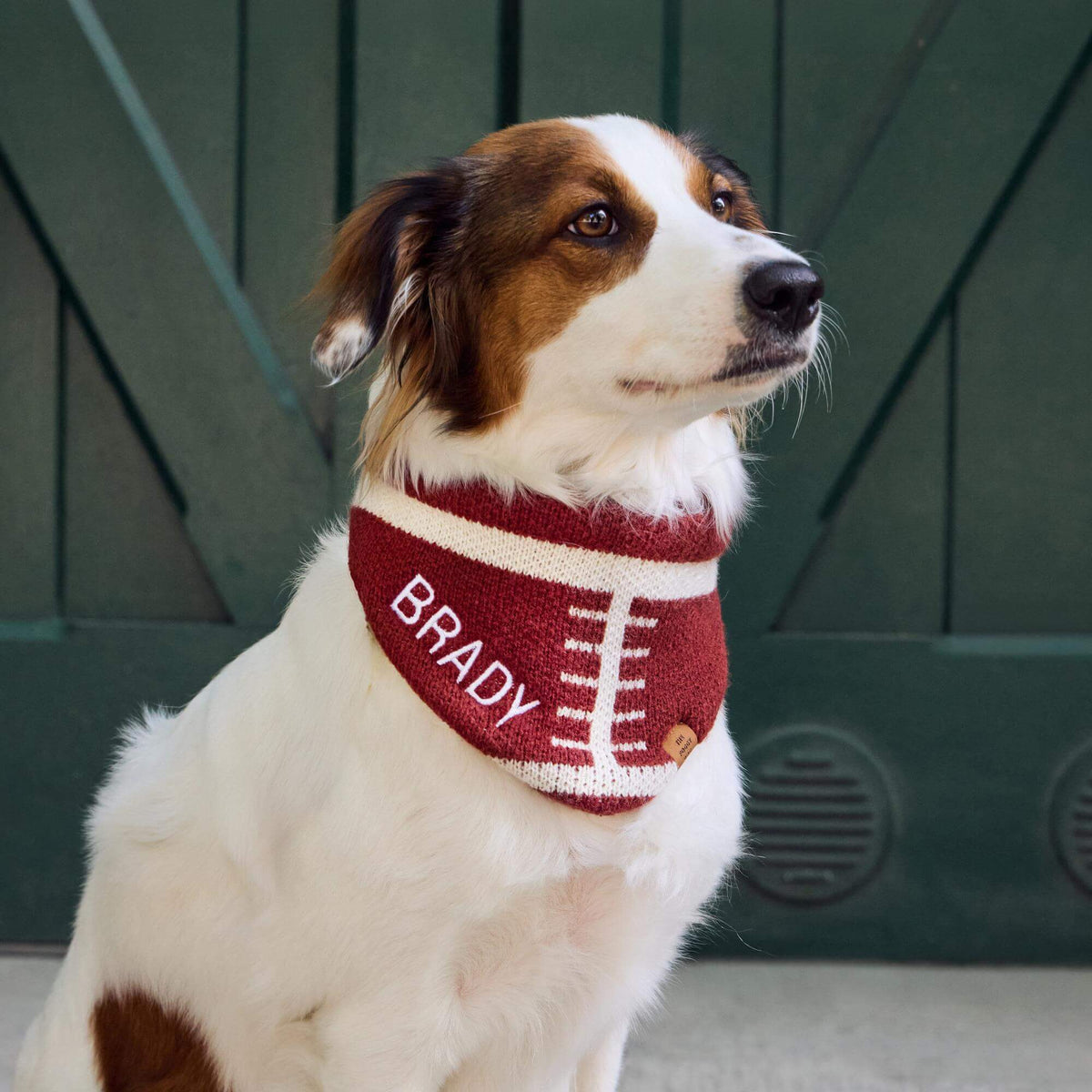 Football Knit Dog Bandana with Snap Closure, Game Day
