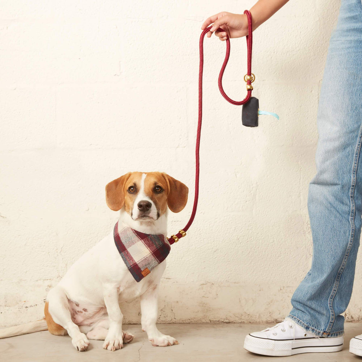 Wine Red Braided Marine Rope Dog Leash, 5 ft