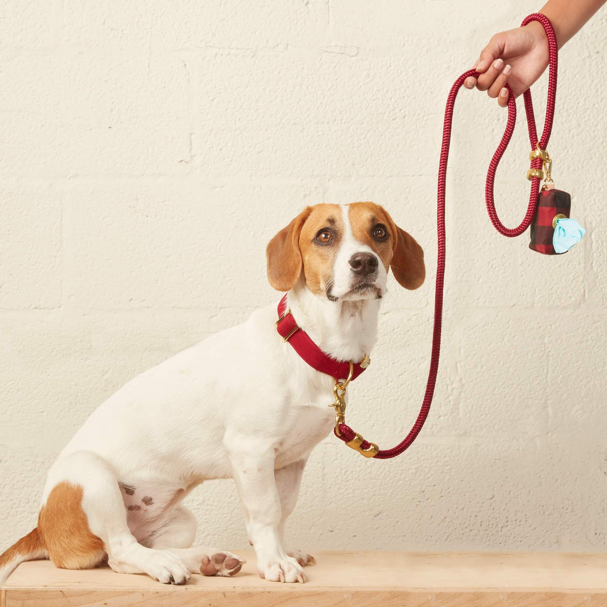 Wine Red Braided Marine Rope Dog Leash, 5 ft