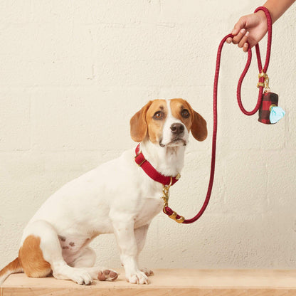 Wine Red Braided Marine Rope Dog Leash, 5 ft